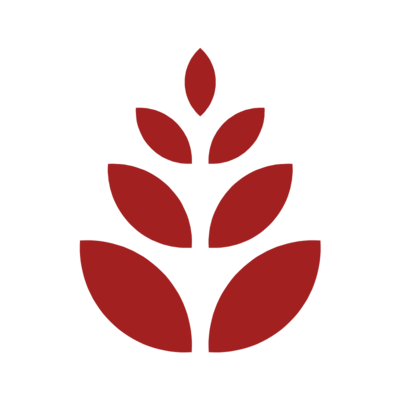 Sustainability as a tax focus