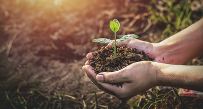 Ny rapport: Så kan AI hjälpa företag att växa hållbart