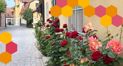 Välkommen till PwC i Almedalen!