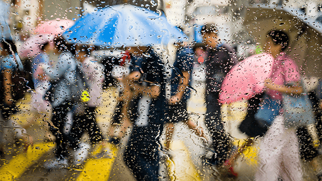 ceo-survey-2019-640x360