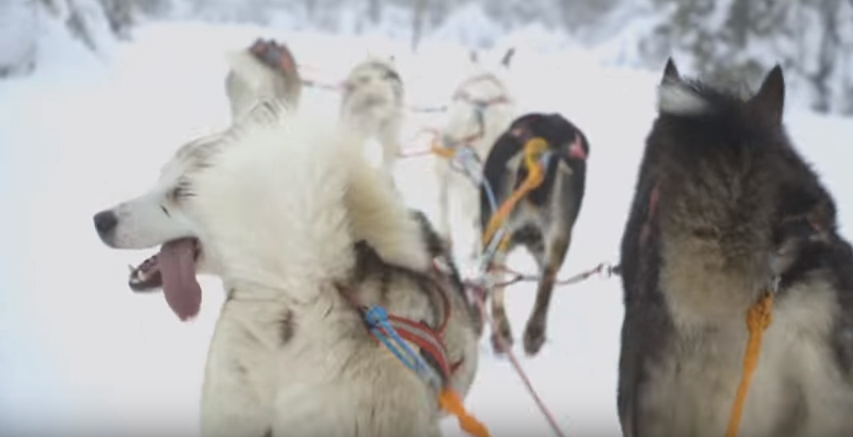 ”Höga arbetsgivaravgifter är en utmaning för oss”