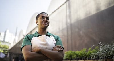 New Transfer Pricing rules in Brazil: One step closer to OECD