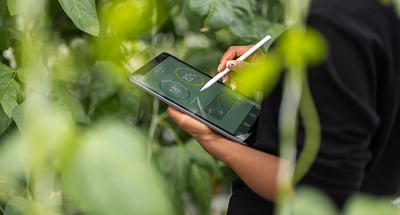 Sambandet mellan CSRD och internprissättning