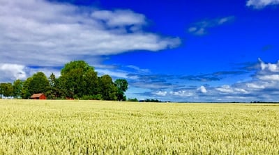 Därför satsar fler företag på hållbarhetsarbete