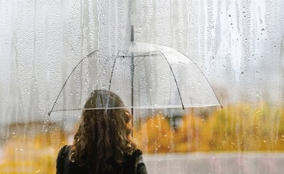 Vilka är företagarnas viktigaste framtidsfrågor? CEO Survey har svaren