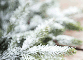 Mikael Carlén wishes you Happy Holidays!