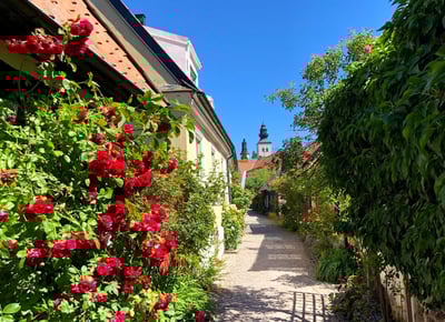 Moms till staten eller mer pengar till knatteidrotten