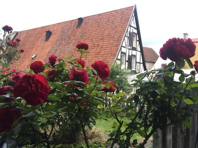 Almedalen 2017 – a brief summary