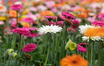 Tax matters wishes you a nice summer