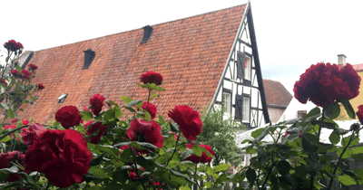 Skattefokus i Almedalen