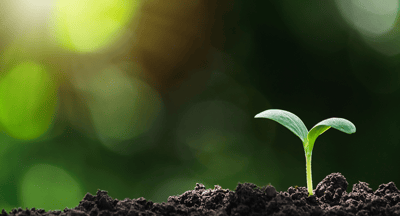 4 nyttiga frågor för tillväxtbolag