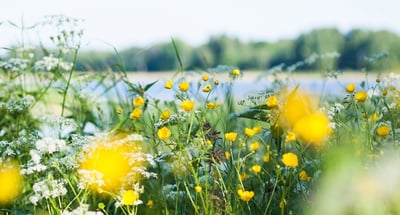 Kajsa Boqvist önskar trevlig sommar!