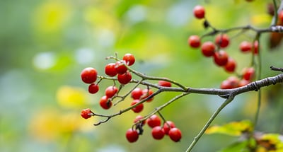 Behöver du stärka ditt företags likviditet?