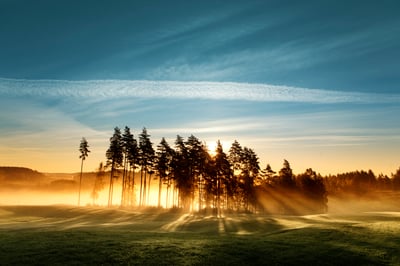 Oenighet om svenska ränteavdragsregler är förenliga med EU-rätten