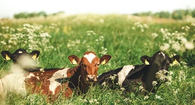 Tax matters önskar trevlig sommar!