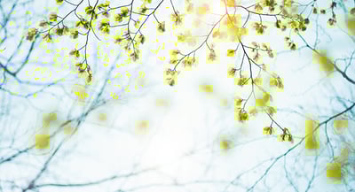 Nya momslagen - ny systematik och vissa materiella ändringar