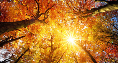 CSRD - nya storlekskrav begränsar antalet företag som omfattas