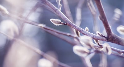 Så integrerar du ESG i företagets affär