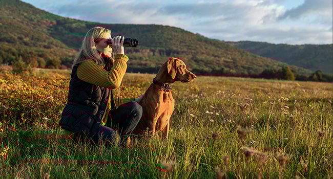 Kvinna och hund ser ut över fjäll