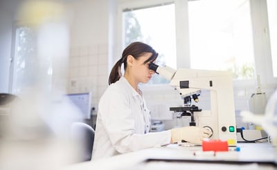 Beslut om förlängd tidsperiod avseende skattelättnader för utländska experter