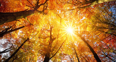 Höstbudgeten – viktigaste förslagen för dig som företagare