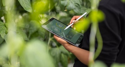 ESG effects on transfer pricing