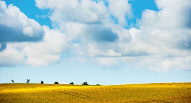 Svenskt landskap himmel